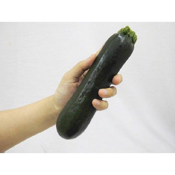 産地厳選 ”ズッキーニ” 秀品 8〜12本前後 約2kg : くらし快援隊 - 通販