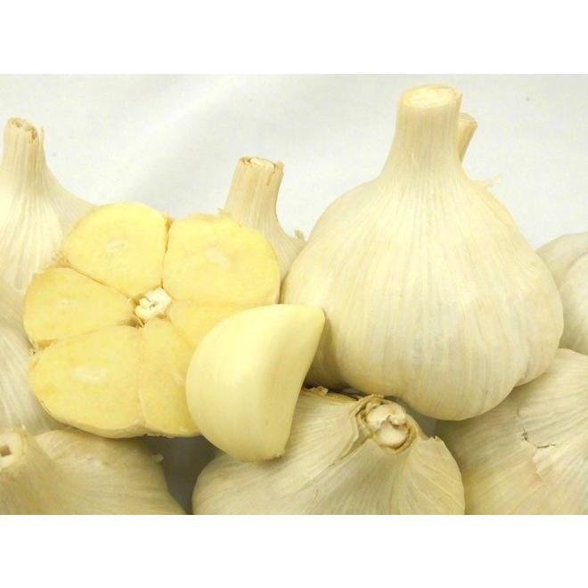 青森県 訳あり ”国産にんにく” 約5kg 送料無料 : くらし快援隊 青森県 訳あり ”国産にんにく” 約5kg 送料無料 : くらし快援隊