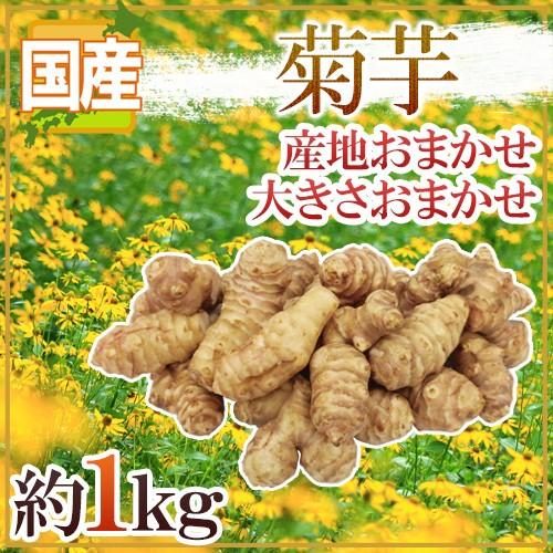 菊芋” 約1kg 大きさおまかせ 産地厳選 キクイモ【予約 11月以降 菊芋” 約1kg 大きさおまかせ 産地厳選 キクイモ【予約 11月以降