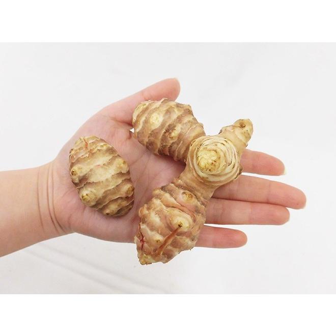 菊芋” 約2kg 大きさおまかせ 産地厳選 キクイモ【予約 11月以降】 送料