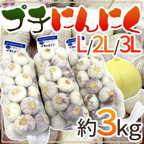プチにんにく” L/2L/3L 約3kg 送料無料 : くらし快援隊 - 通販 - Yahoo
