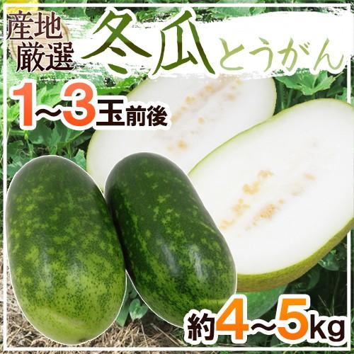 冬瓜 とうがん 1 3玉前後 約4 5kg トウガン 加茂瓜 予約 入荷次第発送 送料無料 Togan5kg くらし快援隊 通販 Yahoo ショッピング