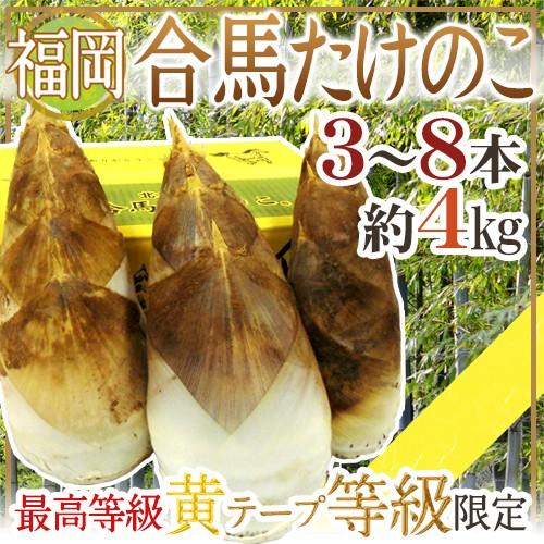 福岡 合馬産 ”たけのこ” 3〜8本 約4kg 化粧箱 最高等級 黄テープ 福岡 合馬産 ”たけのこ” 3〜8本 約4kg 化粧箱 最高等級 黄テープ