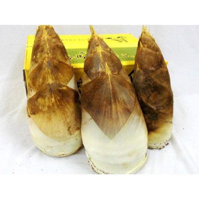 福岡 合馬産 ”たけのこ” 3〜8本 約4kg 化粧箱 最高等級 黄テープ 福岡 合馬産 ”たけのこ” 3〜8本 約4kg 化粧箱 最高等級 黄テープ
