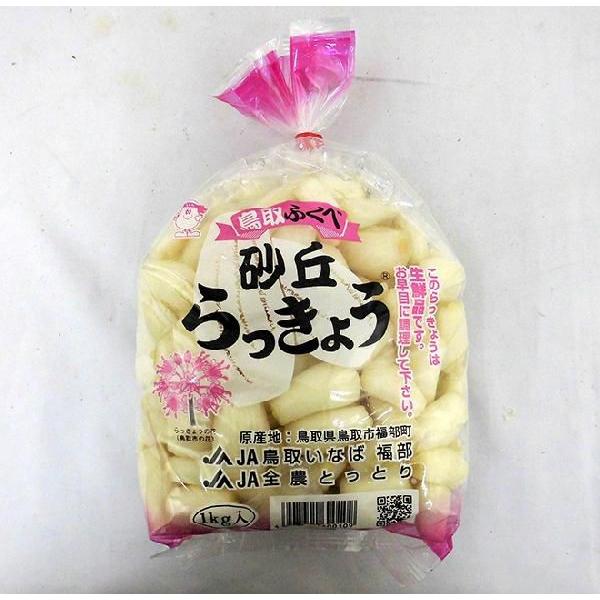 洗いらっきょう 鳥取 JAいなば 福部産 ”砂丘らっきょう” M/Lサイズ 約10kg【予約 6月中旬以降】 送料無料|kurashi-kaientai|02