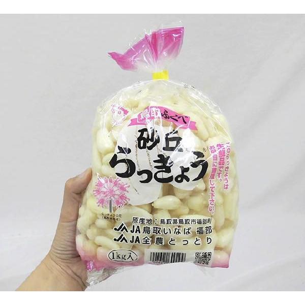 洗いらっきょう 鳥取 JAいなば 福部産 ”砂丘らっきょう” S/Mサイズ 約