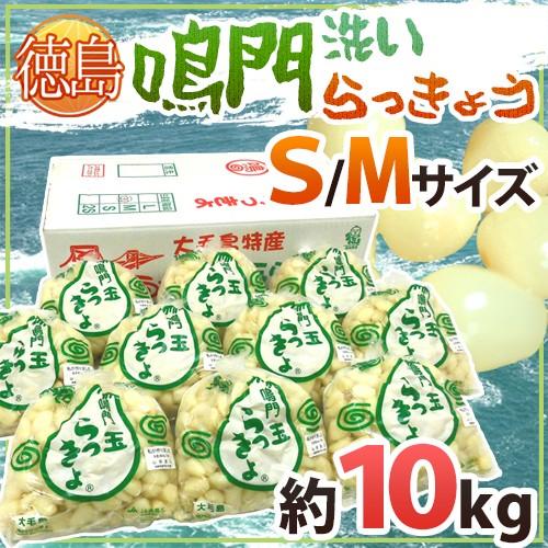 徳島 鳴門産 ”洗いらっきょう” 秀品 S/Mサイズ 約10kg【予約 5月下旬