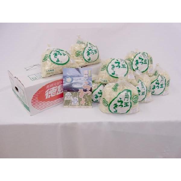 徳島 鳴門産 ”洗いらっきょう” 秀品 S/Mサイズ 約10kg【予約 5月下旬