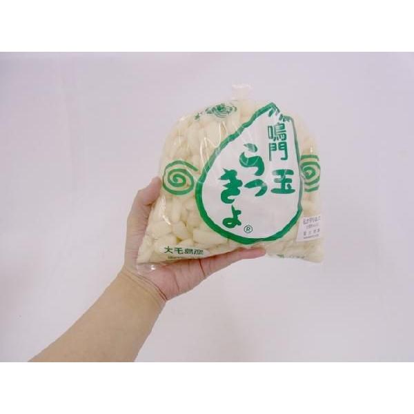 徳島 鳴門産 ”洗いらっきょう” 秀品 S/Mサイズ 約10kg【予約 5月下旬