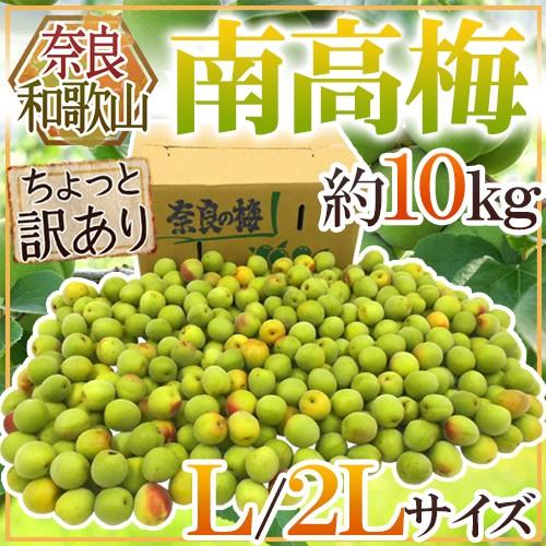■訳あり■【B品】紀州南高梅10kg 2L以上 加工用 和歌山産 ☆訳あり☆【B品】紀州南高梅10kg 2L以上 加工用 和歌山