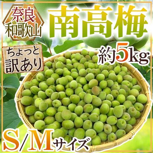 奈良・和歌山産 ”南高梅” ちょっと訳あり S/M 約5kg【予約 6月初旬以降】 送料無料（Yahoo!・くらし快援隊）