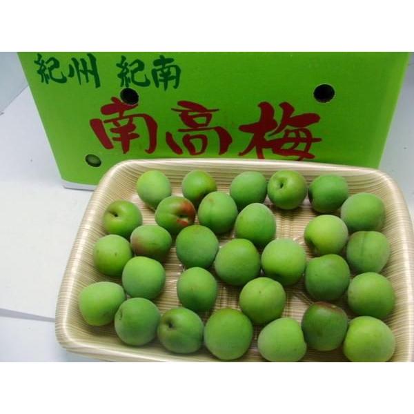 紀州・和歌山産 南高梅 青梅” 秀品 3Lサイズ 約1kg《10キロ購入で送料 
