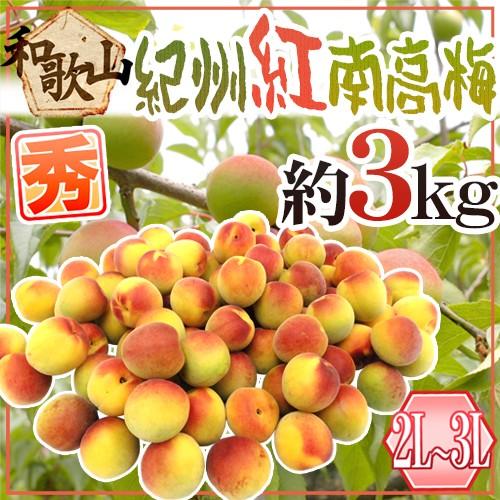 &rdquo;紀州・和歌山産 紅南高梅&rdquo; 秀品 2L/3L 約3kg【予約 5月下旬以降】 送料無料