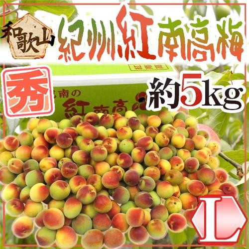 紀州・和歌山産 紅南高梅” 秀品 L 約5kg【予約 5月下旬以降】 送料無料