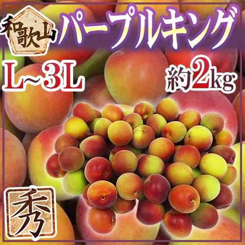 和歌山産 JA紀南 パープルキング” 秀品 L〜3L 約2kg 大梅 南高梅【予約
