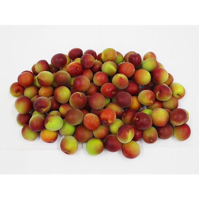 食品 chia様専用ページ パープル南高梅3L4L3kg 南高梅2L3L2kg