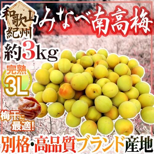 紀州・和歌山産 ”みなべ南高梅 熟梅” 秀品 3L 約3kg【予約 6月以降】 送料無料｜kurashi-kaientai