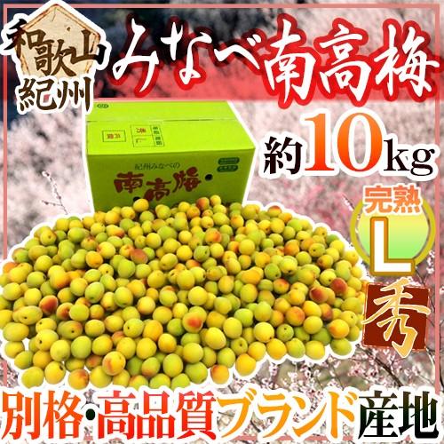 紀州・和歌山産 ”みなべ南高梅 熟梅” 秀品 L 約10kg【予約 6月以降 