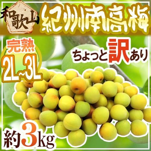 紀州・和歌山産 南高梅 完熟” 2L〜3L 約3kg ちょっと訳あり【予約 6月 最高の木熟‼️和歌山県産 紅南高梅 3L-2Lサイズ 5kg みかんキング