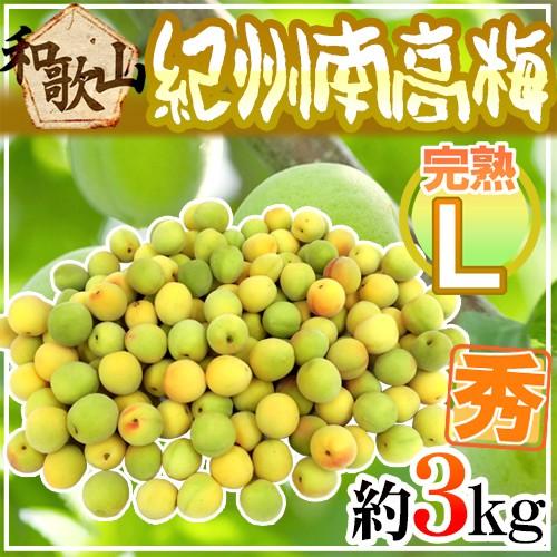 紀州・和歌山産 南高梅 完熟” 秀品 L 約3kg【予約 6月以降】 送料無料 