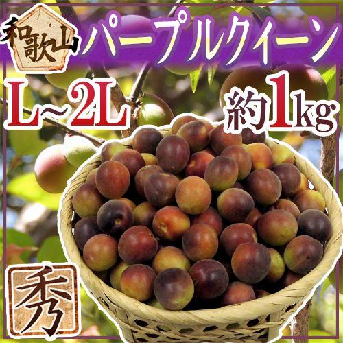 紀州・和歌山産 JA紀南 パープルクイーン” 秀品 L〜2L 約1kg 小梅