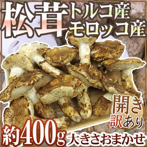 トルコ・モロッコ産 ”松茸” 訳あり 約400g 開き 大きさおまかせ ご家庭 