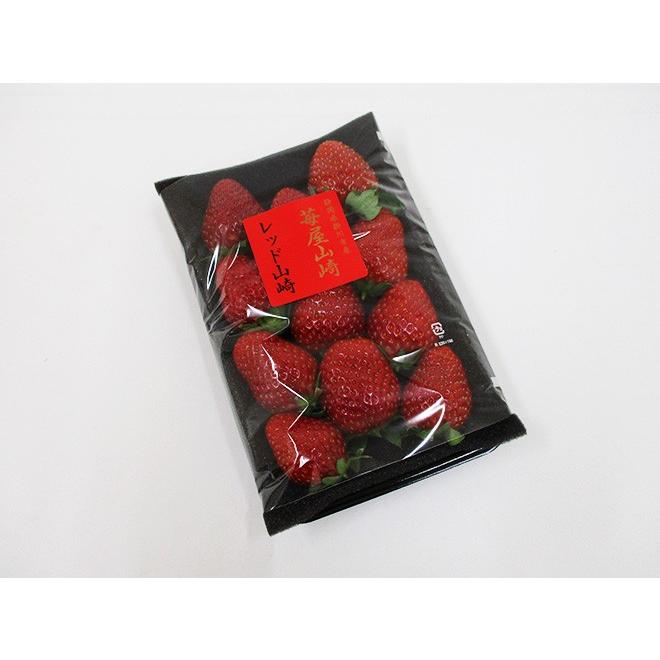 いちご 静岡県 ”苺屋山崎 レッド山崎” 秀品 5〜15粒前後 約250g【予約