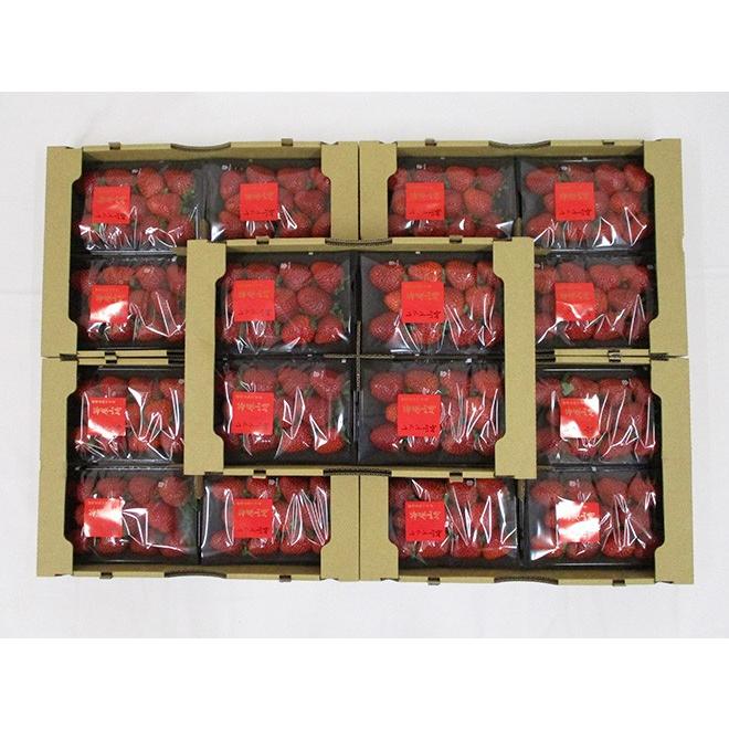 いちご 静岡県 ”苺屋山崎 レッド山崎” 秀品 4pc（1pcあたり5〜15粒前後