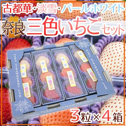 奈良県産 ”三色いちご仕掛ける” 4箱（1箱あたり近所3粒入り口・入口）古都華・淡雪・パール白いこと かざり付ける箱【取って置く 2月今後】 貨物輸送無料 フルーツ-いちご