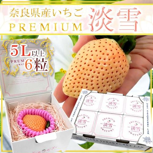 ＊いちご＊*5点 淡雪 500g ☆めずらしい白いちご、ほんのり甘い上品なお味♪☆彡 | JA