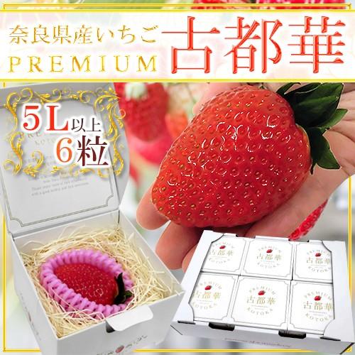 奈良県産 ”プレミアム 無き 古都華いちご” 5Lサイズ 6粒【予約 1 奈良県産 ”プレミアム 無き 古都華いちご” 5Lサイズ 6粒【予約 1