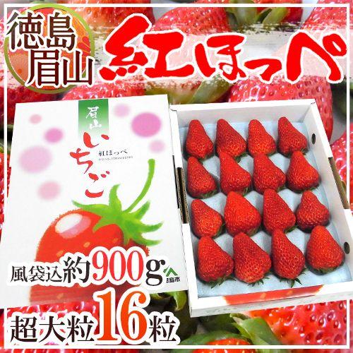 あき姫&紅ほっぺ！大粒お得品詰め合わせ 7キロ　　苺イチゴ あき姫&紅ほっぺ！大粒お得品詰め合わせ 7キロ 苺イチゴ 楽天市場】