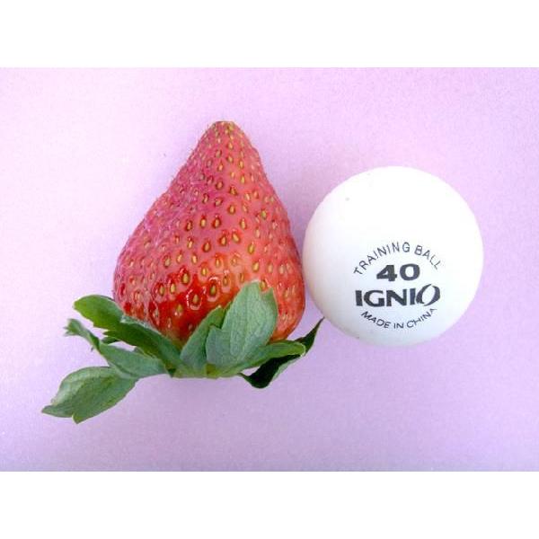 小粒いちごSサイズ 7キロ　紅ほっぺ 徳島県 ”眉山産 紅ほっぺ” 大粒16〜24粒 化粧箱 いちご【予約 12月以降