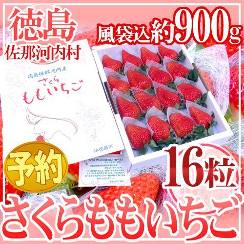 徳島県佐那河内産 ”さくらももいちご” 特大16粒 化粧箱【予約 12月以降】 送料無料