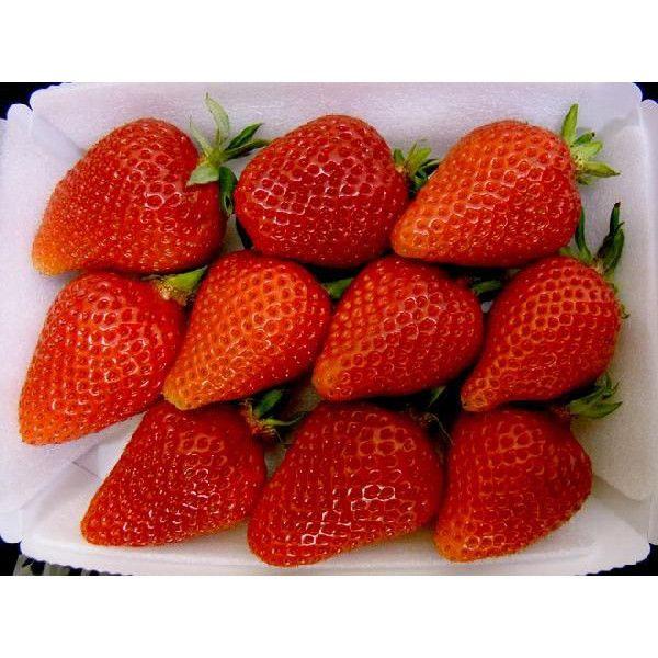 徳島県 ”佐那河内産 さくらももいちご” 秀品2L or 大粒AA 220g×4pc