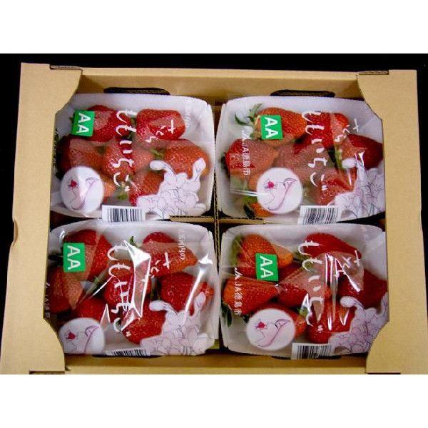 徳島県 ”佐那河内産 さくらももいちご” 秀品2L or 大粒AA 220g×4pc