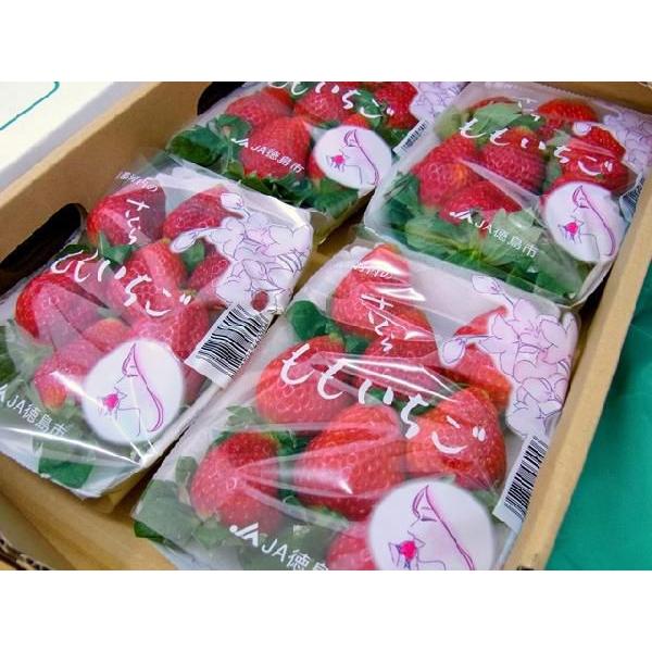徳島県佐那河内村 ”さくらももいちご” 訳あり 約200g×4pc ワケ待ち
