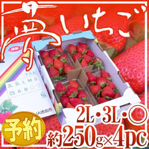 徳島県勝占産 ”夢いちご” 2Lor3Lor大粒○ 約250g×4pc【予約 12月以降】 送料無料｜kurashi-kaientai