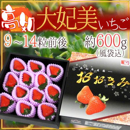 高知県 ”大妃美いちご（おおきみ）” 大粒9〜14粒前後 風袋込約600g