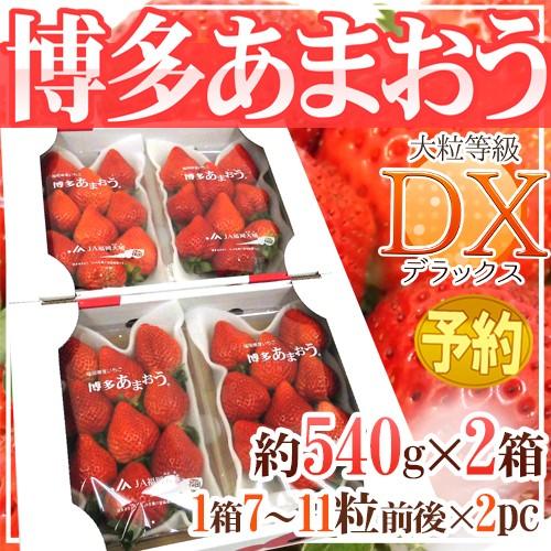 福岡産 博多 ”あまおういちご” 等級DX(デラックス) 2箱 4パック入り(1パック約270g)【予約 1月以降】 送料無料 : 2014040-amaodx4pcy : くらし快援隊 - 通販 - Yahoo!ショッピング 福岡産 博多 ”あまおういちご” 等級DX(デラックス) 2箱 4パック入り(1パック約270g)【予約 1月以降】 送料無料 : 2014040-amaodx4pcy : くらし快援隊 - 通販 - Yahoo!ショッピング