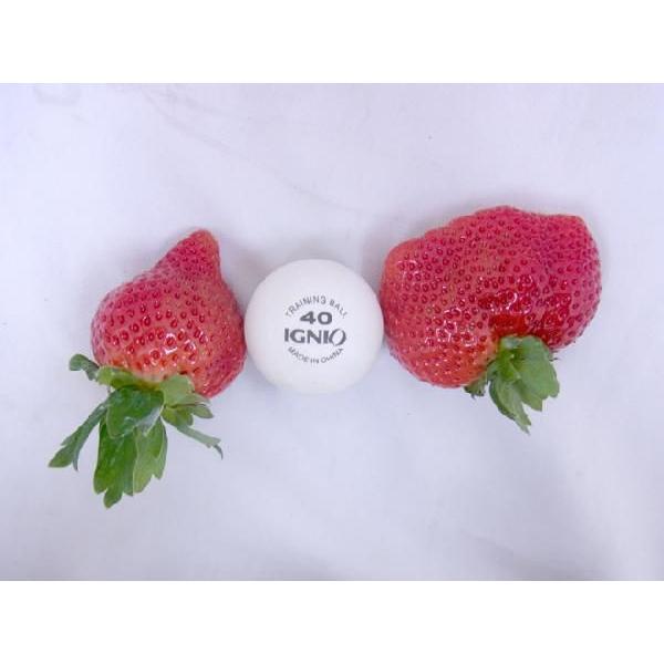 福岡産 博多 ”あまおういちご” 等級G(グランデ) 1箱 2パック入り(1パック約270g)【予約 12月〜4月】 送料無料|kurashi-kaientai|05