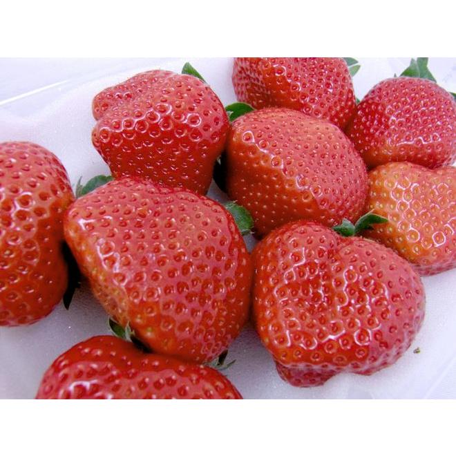 福岡産 博多 ”あまおういちご” 等級G(グランデ) 2箱 4パック 福岡産 博多 ”あまおういちご” 等級G(グランデ) 2箱 4パック