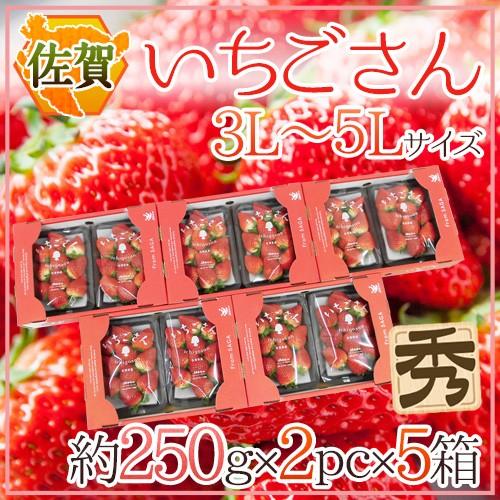 佐賀 ”いちごさん” 秀品 3L〜5L大きさ 約250g×2容器に並べる×《5箱》 かざり付ける箱【取って置く 12月〜1月今後】 貨物輸送無料 いちご-フルーツ-食品