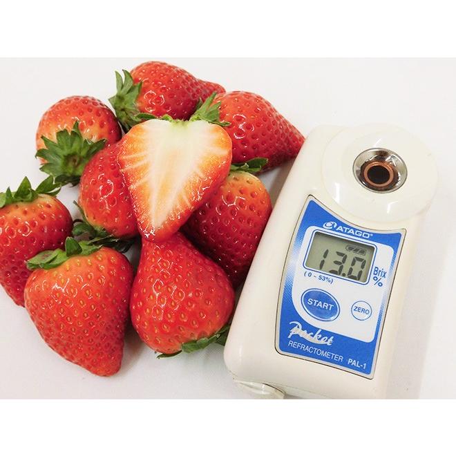 佐賀 ”いちごさん” 秀品 3L〜5Lサイズ 約250g×2パック 化粧箱【予約 12
