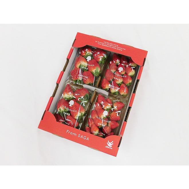 佐賀 ”いちごさん” ちょっと訳あり 約250g×4パック 大きさおまかせ