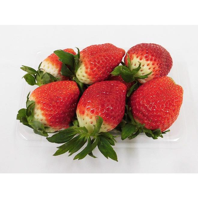 佐賀 ”いちごさん” ちょっと訳あり 約250g×4パック 大きさおまかせ