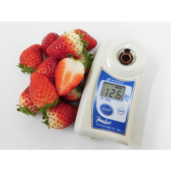 佐賀 ”いちごさん” ちょっと訳あり 約250g×4パック 大きさおまかせ