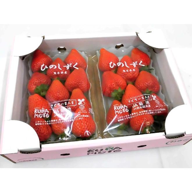 いちご　熊本産　300g×20パック　ラスト 熊本県 ”ひのしずくいちご” 秀品 2パック入り（1パック 7〜13粒 約300g