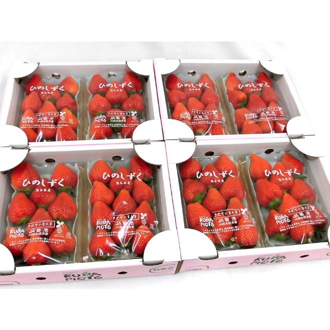熊本県 ”ひのしずくいちご” 秀品 2パック入り（1パック 7〜13粒 約300g）×《4箱》【予約 12月以降】 送料無料