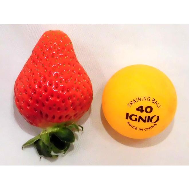 熊本県 ”ひのしずくいちご” 秀品 2パック入り（1パック 7〜13粒 約300g）×《4箱》【予約 12月以降】 送料無料